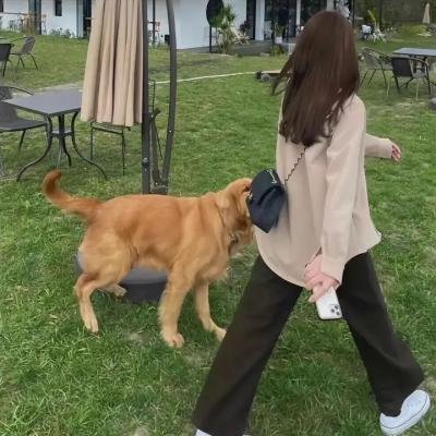 最后的勇气
