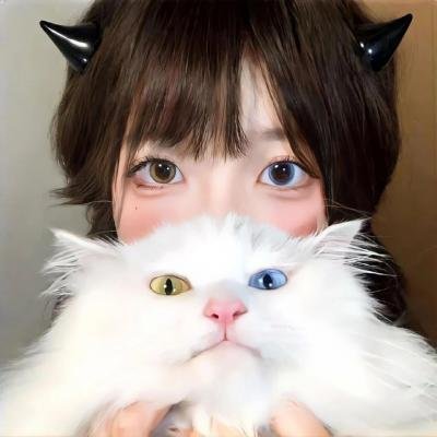 新流星蝴蝶剑